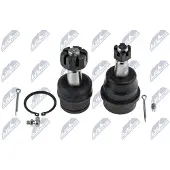 NTY Fuseekogel ZSD-CH-003