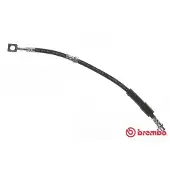 Brembo T 59 080 Remslang