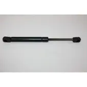 AUTOMEGA 100006910 Gasveer achterklep