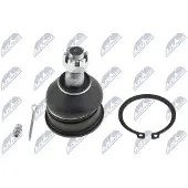 NTY Fuseekogel ZSG-NS-004
