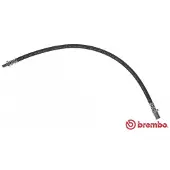 Brembo T A6 030 Remslang