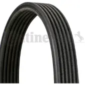 CONTITECH Multiriem 6DPK1195 Contitech voor o.a. AUDI, FORD, SEAT, SKODA, VOLKSWAGEN