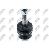 NTY Fuseekogel ZSD-BM-010