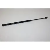 AUTOMEGA 100002210 Gasveer achterklep