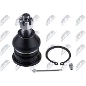 NTY Fuseekogel ZSD-NS-024