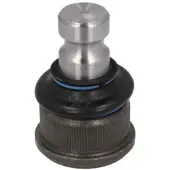 REINHOCH Fuseekogel RH03-2022
