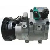Delphi TSP0155496 Aircopomp