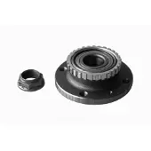 VAICO V42-0268 Wiellagerset