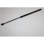 AUTOMEGA 100002110 Gasveer achterklep