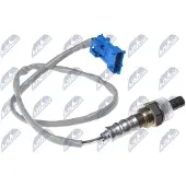NTY Lambdasonde ESL-CT-004