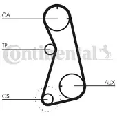 CONTITECH Distributieriemset CT869K1 Contitech voor o.a. AUDI, SEAT, VOLKSWAGEN