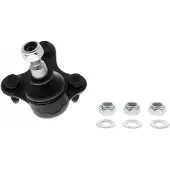 VAICO V10-3121 Fuseekogel