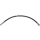 KAVO PARTS Remslang BBH-9353