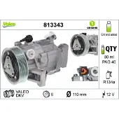 Valeo 813343 Aircopomp