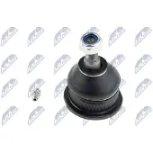 NTY Fuseekogel ZST-CH-003
