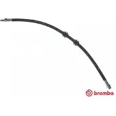 Brembo T 44 033 Remslang