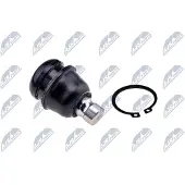 NTY Fuseekogel ZSD-CH-008