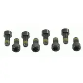 SACHS 1874 000 006 Schroevenset, vliegwiel