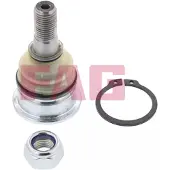 Schaeffler FAG Fuseekogel 825 0227 10