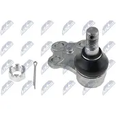 NTY Fuseekogel ZSD-NS-022
