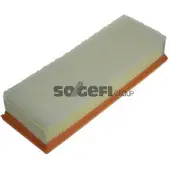 FRAM Luchtfilter CA10963