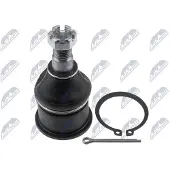 NTY Fuseekogel ZST-MS-005
