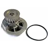 THERMOTEC Waterpomp D1X048TT