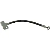 KAVO PARTS Remslang BBH-4161