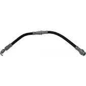 KAVO PARTS Remslang BBH-5532