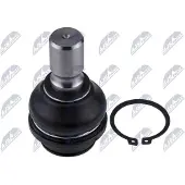 NTY Fuseekogel ZSD-NS-021