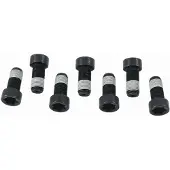 SACHS Schroevenset, vliegwiel 1874 000 043