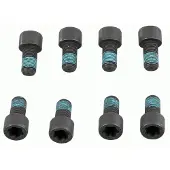 SACHS Schroevenset, vliegwiel 1874 000 078