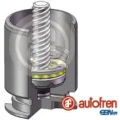 AUTOFREN SEINSA D02554RK Zuiger, remklauw