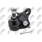 NTY Fuseekogel ZSD-TY-009