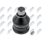 NTY Fuseekogel ZSD-MS-025