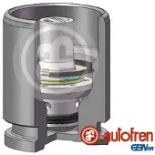 AUTOFREN SEINSA D02593K Zuiger, remklauw
