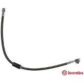 Brembo Remslang T 85 112