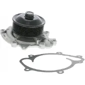 VAICO V30-50059 Waterpomp