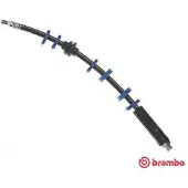 Brembo T 23 143 Remslang