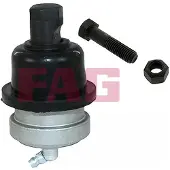 Fag Fuseekogel 825 0091 10