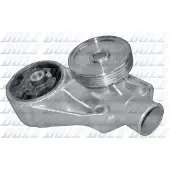DOLZ S193 Waterpomp