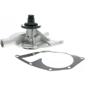 VAICO Waterpomp, motorkoeling V48-50002