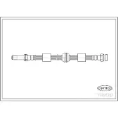 CORTECO 19026387 Remslang