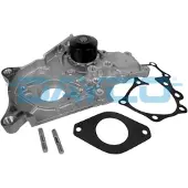 DAYCO DP199 Waterpomp