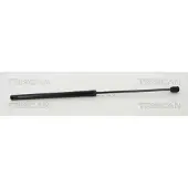 TRISCAN 8710 292050 Gasveer achterklep