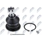 NTY Fuseekogel ZSG-MS-006
