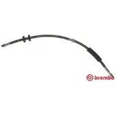 Brembo T 85 145 Remslang
