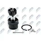 NTY Fuseekogel ZSD-CH-003A