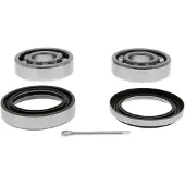 ACKOJA A54-0012 Wiellagerset