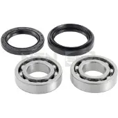 SNR R181.06 Wiellagerset